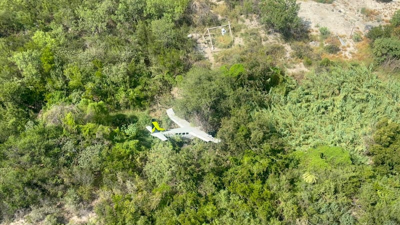 Reportan el desplome de una avioneta en NL; el piloto quedó prensado entre los restos de la nave