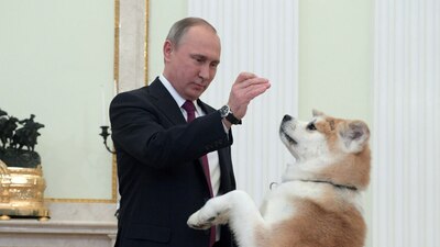 El presidente de Rusia juega con su perra 'Yume' en la residencia oficial