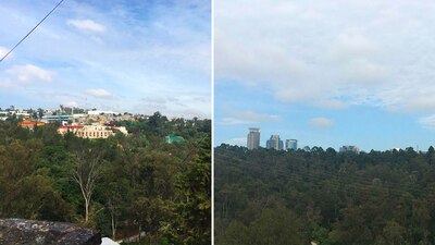 Casi cuatro veces el tamaño de Disneylandia