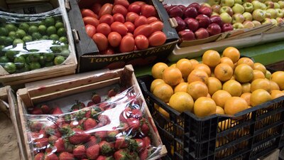 Señalaron que México es una amenaza para la industria agrícola estacional