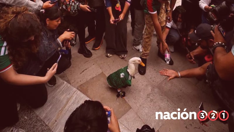 Pato ‘Merlín’ es declarado embajador oficial del Mundial 2026 de la CDMX