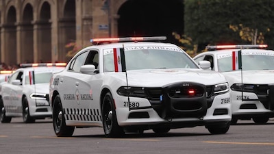 Se dice que detuvieron entre 12 y 14 personas