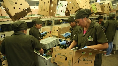 Las exportaciones dirigidas a EU avanzaron 13.9%, en su comparación anual, según el reporte del Inegi