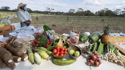 AMLO busca que Sembrando Vida reduzca la carestía y la inflación