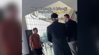 El dueño de los peludos lanzó gritos y lloró, para luego tirarse al piso, repitiendo en repetidas ocasiones "¿Dónde están mis perros?".