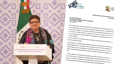 La fiscal explicó que es una funcionaria pública con total sensibilidad y responsabilidad en el cargo