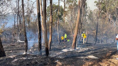 Miembros del Cuerpo de Bomberos y de la Secretaría de Gestión Integral de Riesgos y Protección Civil en el siniestro