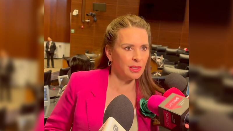 “Villegas tiene dignidad, no como exgobernadores ‘nalgas prontas’”: Carolina Viggiano