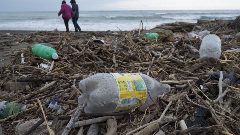 Vacaciones de fin de año: ¿Cuáles son las playas más contaminadas de México? Profeco responde