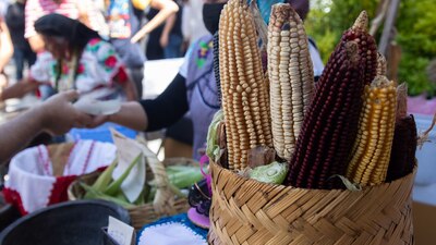 El mandatario también solicitó la cooperación de las tortillerías para no “abusar” del precio.