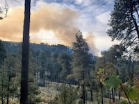 Combaten incendio en Parque Nacional Iztaccíhuatl, en Amecameca, Edomex