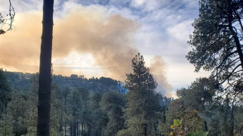 Combaten incendio en Parque Nacional Iztaccíhuatl, en Amecameca, Edomex