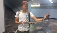 Detienen en el Metro a menor de edad que portaba una serpiente en el brazo