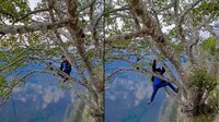 Denuncian a youtuber que se colgó de árbol en acantilado del Cañón del Sumidero