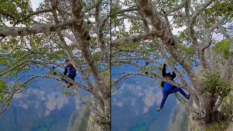 Denuncian a youtuber que se colgó de árbol en acantilado del Cañón del Sumidero