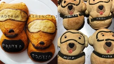 La panadería tiene otras conchas temáticas