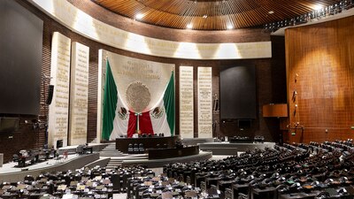 El dictamen ahora pasa al Senado