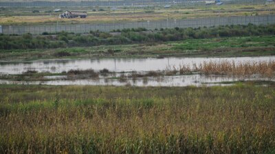 El lago de Texcoco ha sufrido daños ambientales por la construcción, dicen críticos