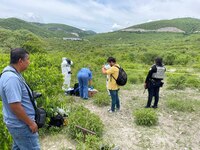 Descubren 3 fosas clandestinas en cerro de Guerrero; investigan cuántos restos óseos tienen