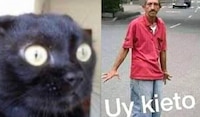 Sismo en Guerrero: los mejores memes para olvidar el movimiento telúrico en CDMX