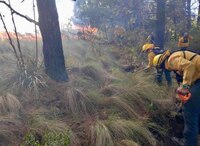 Combaten incendio en las faldas del Nevado de Toluca