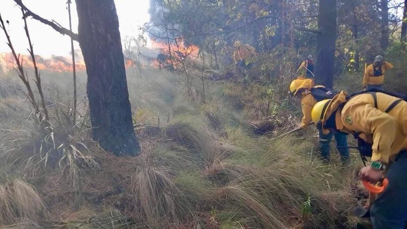 Combaten incendio en las faldas del Nevado de Toluca