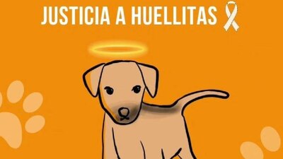 El 'lomito' fue torturado por una joven de 17 años