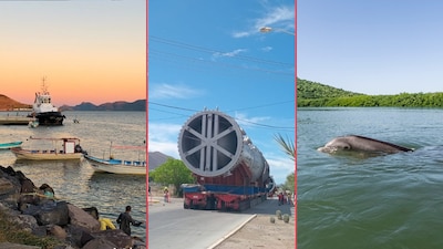 Batalla por Bahía de Ohuira, Topolobampo: la planta de amoniaco que enfrentan las comunidades