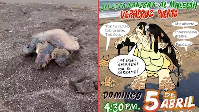 Convocan a mega marcha por el mar en malecón de veracruz por el desastre de hidrocarburo en Veracruz y tabasco