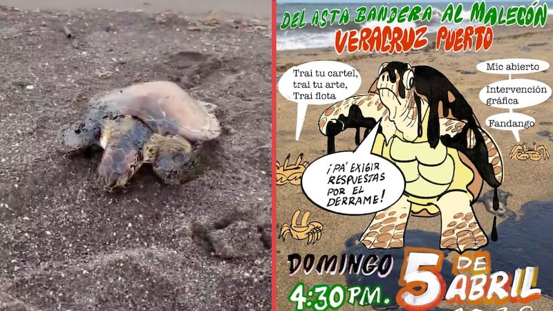 Organizan “Marcha por el Mar” en Veracruz, para exigir protección ante el derrame de combustible