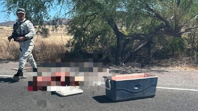 Las redes sociales estallaron ante el macabro encuentro