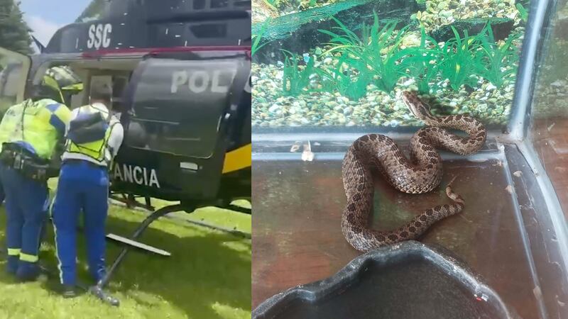 Trasladan a elemento del ERUM al hospital en helicóptero Cóndor tras mordedura de víbora de cascabel