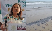 Nahle minimiza derrame de crudo en el Golfo de México; niega muerte de especies marinas