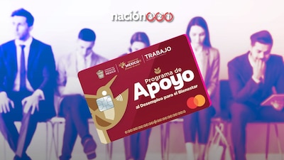 Si perdiste tu empleo en los últimos 18 meses y vives en el Edomex, ya puedes registrarte al programa de apoyo económico; recibirás hasta 3 mil pesos por ocasión, con posibilidad de solicitarlo hasta tres veces