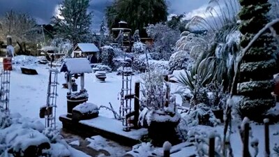 En redes sociales compartieron imágenes de la nieve
