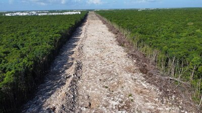 El Tren Maya ha sido criticado por la falta de permisos de impacto ambiental