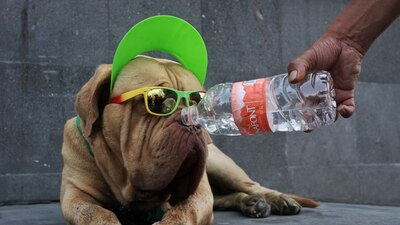 La Conagua alertó por problemas problemas de salud pública y descomposición de alimentos por el calor