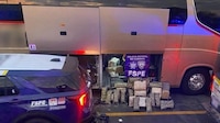 Policías descubren gran cargamento de mariguana en autobús Primera Plus de Guanajuato