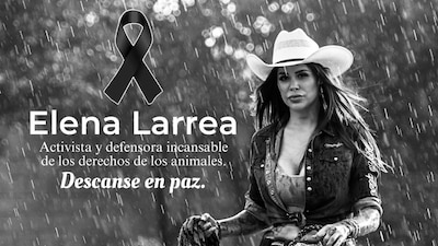 Era fundadora Cuacolandia, un santuario de caballos rescatados de maltrato y abandono