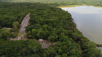 La reserva será ampliada con más de 10 mil hectáreas que compró el gobierno