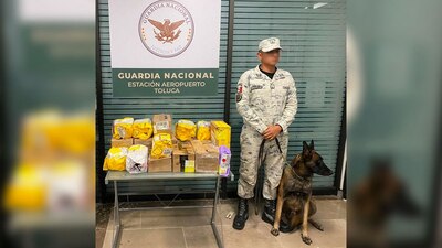 Autoridades federales aseguraron 18 paquetes con mariguana y productos