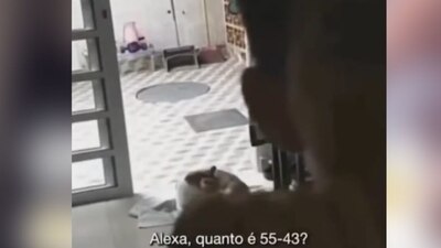 Al terminar su tarea, el niño le agradeció al dispositivo inteligente