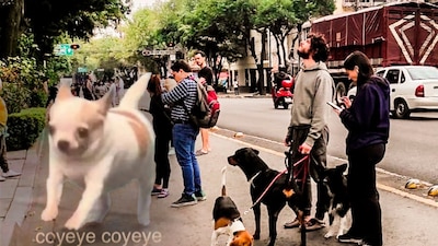 Los mejores memes del sismo falso en la CDMX y zona metropolitana