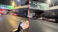 VIDEO: Caja de tráiler cae tras atorarse en bajo puente de Viaducto Miguel Alemán