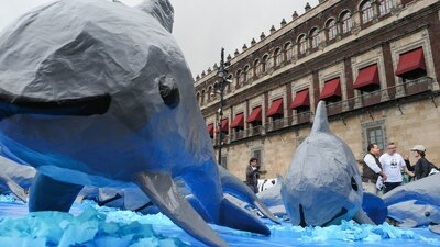 De acuerdo con la convención, en México no funciona las acciones implementadas