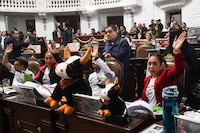 Aprueban corridas de toros ‘sin violencia’ en la Ciudad de México