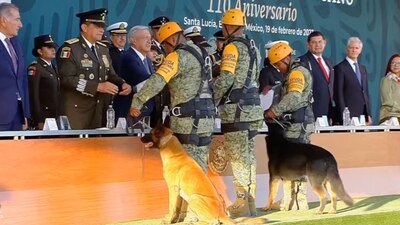 El gobierno reconoció las acciones que llevaron a cabo los caninos de la Sedena en Turquía