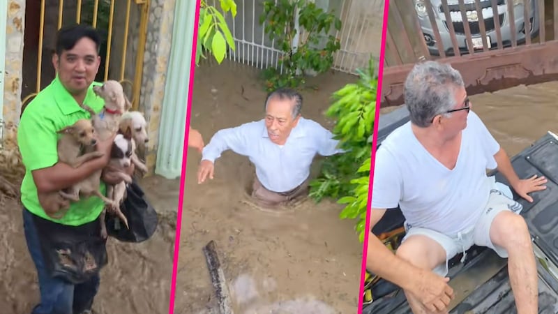“Ángel guardián de Poza Rica”: joven rescata personas y perritos tras inundaciones en Veracruz