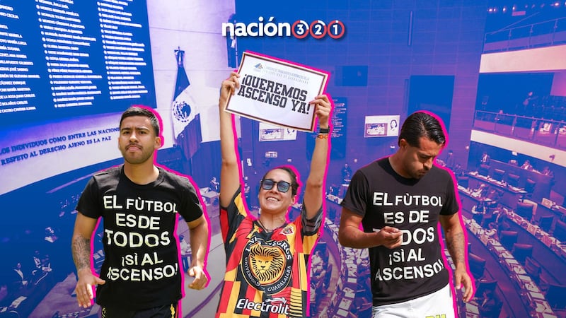Debate por el ascenso y el descenso: cuando la pelota salió de la cancha para ser un tema político