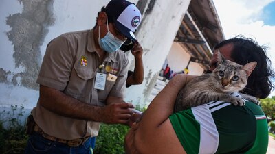 En Nayarit, la mujer fue contagiada por un gato